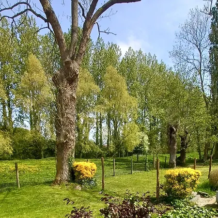 펜션 Nature Et Moi Wittes